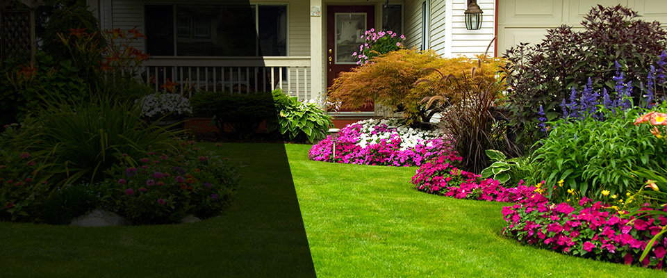 Hector Landscapers
