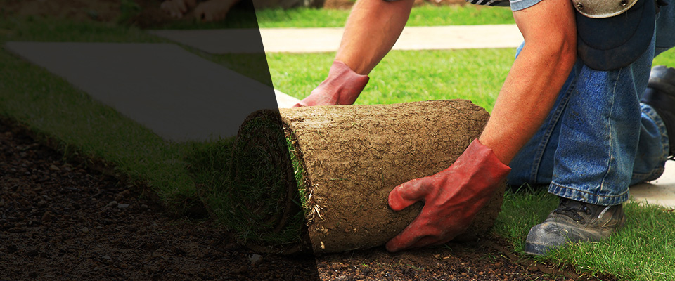 Hector Landscapers